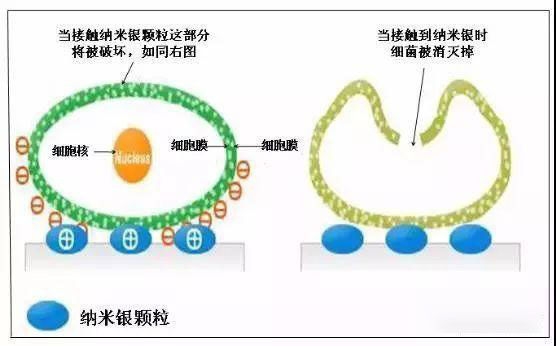 银离子抗菌剂